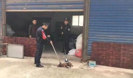 经开区一中爆料案件最新,真相大白，校园安全再升级