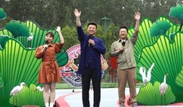 扬州导游爆料视频最新消息,揭秘古城背后的秘密与故事